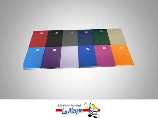 [AGENDA202301] AGENDA 2023 DIARIA POSITANO COLORES VARI MARCA ARTESCO   