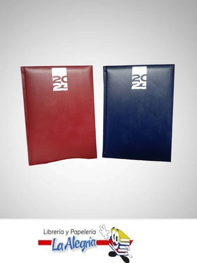 [AGENDA202308] AGENDA 2023 DIARIA MAIORI COLORES VARIAD MARCA ARTESCO   