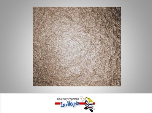 [ALPLTRT6539] PAPEL LEATHERETTE 56X76 CM MARRON PLIEGO MARCA S/M   