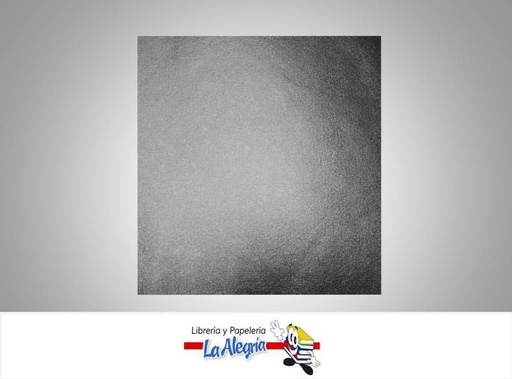[ALPPOLISHA119] PAPEL LEATHERETTE 56X76 CM PLATEADO MARCA S/M   