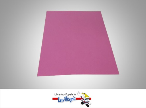 [CARTUCOL025] CARTULINA BRISTOL CARTA FUCSIA UND 120GR MARCA S/M