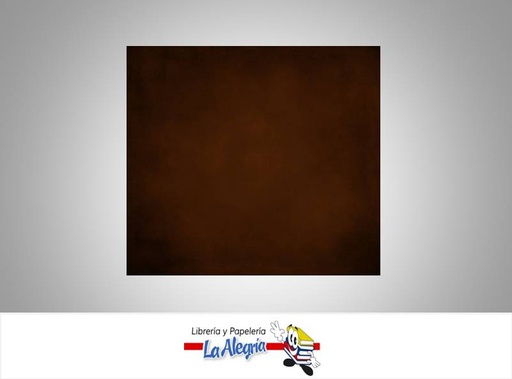 [CDFP015] CARTULINA DOBLE FAZ 66X48 CM MARRON OSCURO 273GRMARCA S/M   