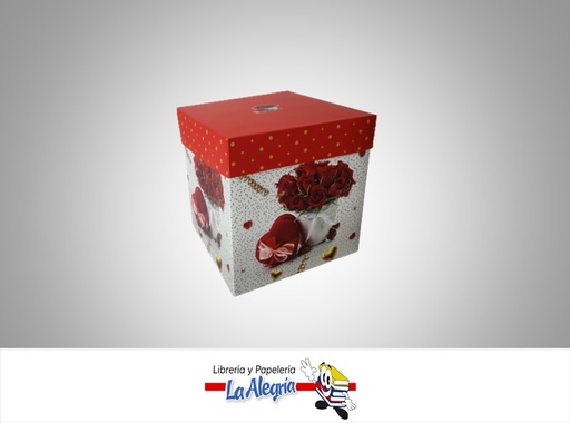 [CR2213] CAJA REGALO ROSA 22X22X22CM ROJO MARCA S/M