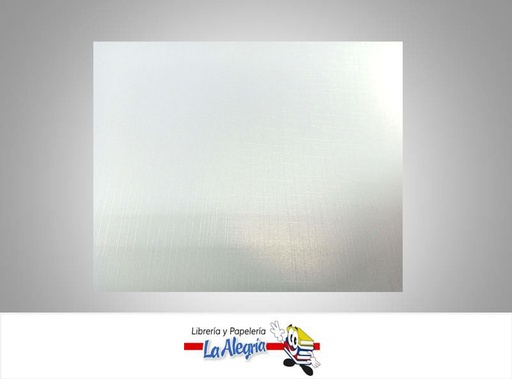 [CSATG03] CARTULINA SATINADA 70X100 TRAMA NACAR UN MARCA S/M   