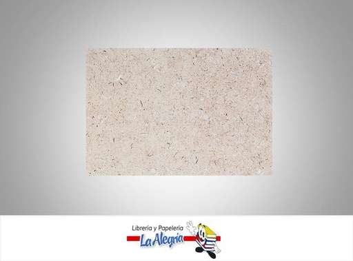 [CT0009] CARTON GRIS IMPORTADO 2.5 MM 70X100 CM UND MARCA S/M