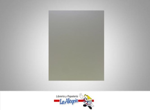 [FUC009] FOAMI UNICOLOR CARTA BEIGE UND MARCA S/M