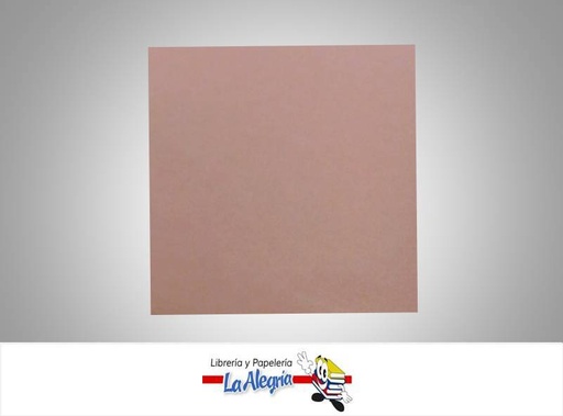 [FV063] CARTULINA FAVINI 70X100 CM SALMON UND MARCA FAVINI   