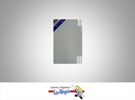 [LSB100X120] LIENZO SOBRE BASTIDOR 100X120 CM MARCA S/M   
