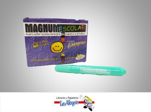 [MAGSUR] MARCADOR 12 COLORES ESCOLAR PTA GRUESA MARCA LIDERPEN   