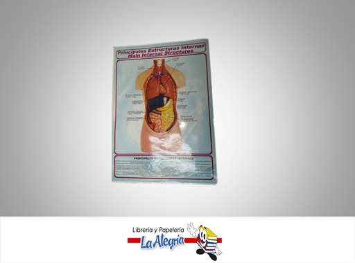 [AFG003] AFICHE GRANDE ESTRUCTURAS INTERNAS UND MARCA S/M