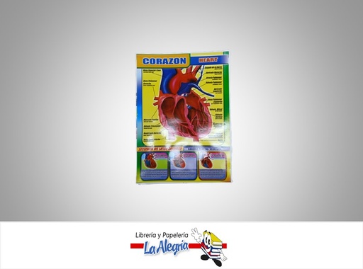 [AFG031] AFICHE GRANDE  EL CORAZON EN INGLES MARCA S/M