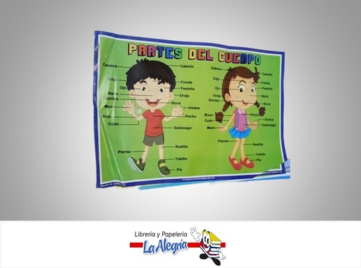 [LAM001] LAMINA EDUCATIVA VARIOS MODELOS MARCA S/M