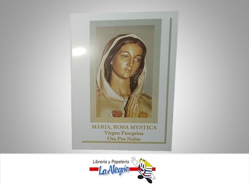[NE144] MARIA ROSA MISTICA, VIRGEN PEREGRINA BLANCO TEMATICA RELIGION AUTOR ANONIMO MARCA FLG