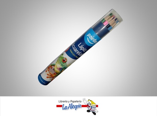 [7453038445023] LAPICES DE COLORES ACUARELABLES 12 COLORES MARCA POINTER
