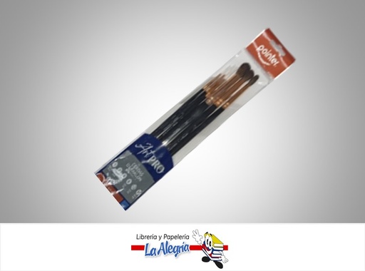 [7453038418331] PINCEL ARTPRO TAKLON AB2232 SET 6 PZAS MARCA POINTER