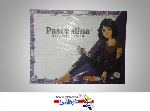 [9789566267836] PLANIFICADOR MENSUAL PASCUALINA BRUJO POP MARCA PINK FIRE