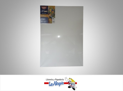 [7453078527369] LIENZO EN BLANCO ARTPRO 50 x 70CM MARCA POINTER