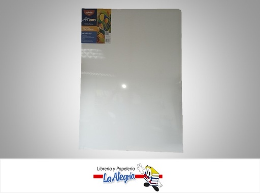 [7453078527383] LIENZO EN BLANCO ARTPRO 70x100 CM MARCA POINTER