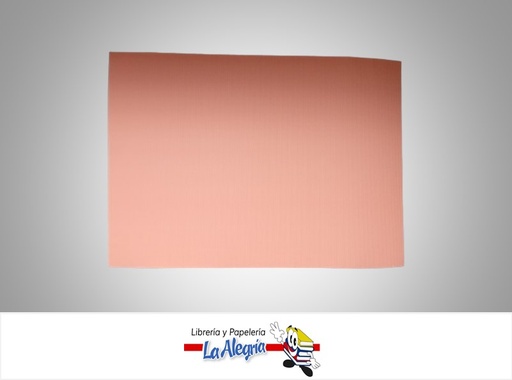 [CORRUG076] CARTON CORRUGADO 50X70 GUAYABA SALMON UND MARCA S/M